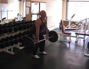 健身锻炼视频,跟随专业指导，轻松塑造完美身材