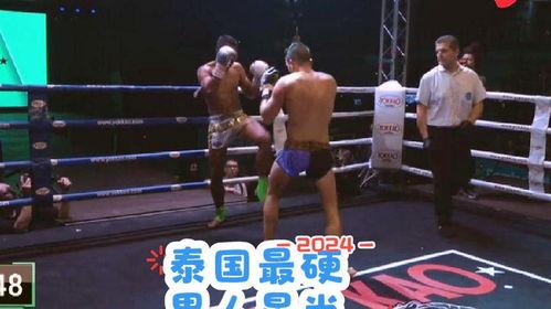 自由搏击比赛视频,自由搏击比赛精彩瞬间回顾