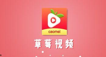 草莓视频色版app黄,揭秘色情内容背后的真相与影响