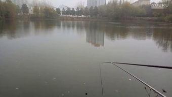 垂钓教学视频,跟随教学视频轻松掌握钓鱼技巧