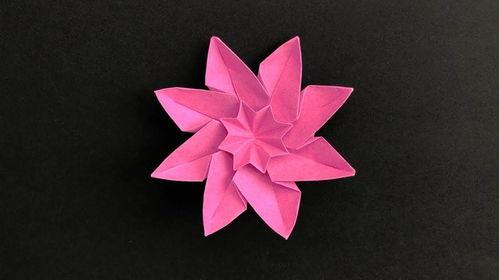 折纸视频教程大全花,花型折纸艺术赏析