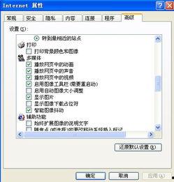电脑不能播放视频,电脑无法播放视频的常见原因及解决方案